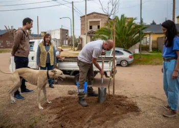 El Municipio continúa fortaleciendo  el plan de forestación en la ciudad
