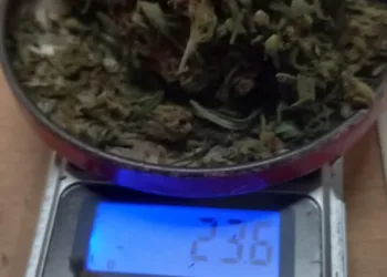 Marihuana secuestrada y aprehendidos
