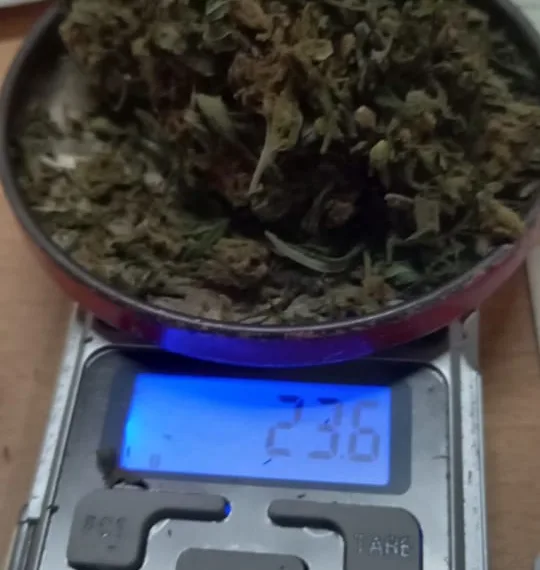 Marihuana secuestrada y aprehendidos