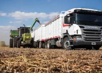 La Provincia advirtió por los riesgos de desregular el transporte de cargas