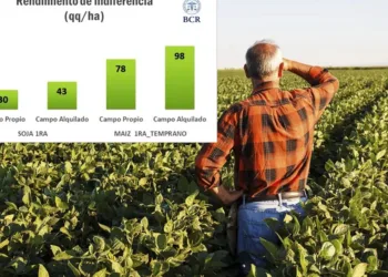 Advierten que hay cultivos con  margen negativo en campo alquilado