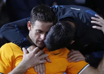 Juan Martín Del Potro jugará un partido despedida ante Djokovic
