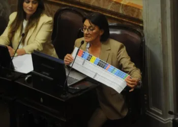 El Senado aprobó con cambios la Boleta Única de Papel