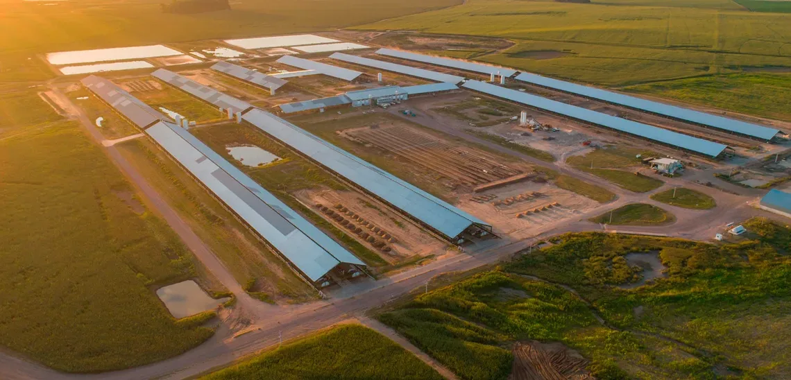 La fusión de criptomonedas y  agroindustria llega a la Argentina