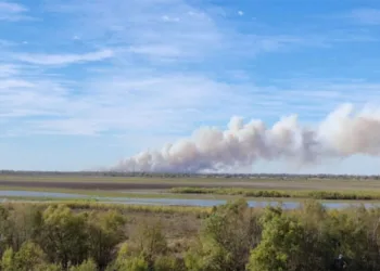 San Nicolás podría volver a tener un verano  con humo por los incendios en las islas