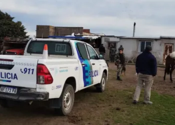 Desmantelan red clandestina de  peleas de perros con apuestas