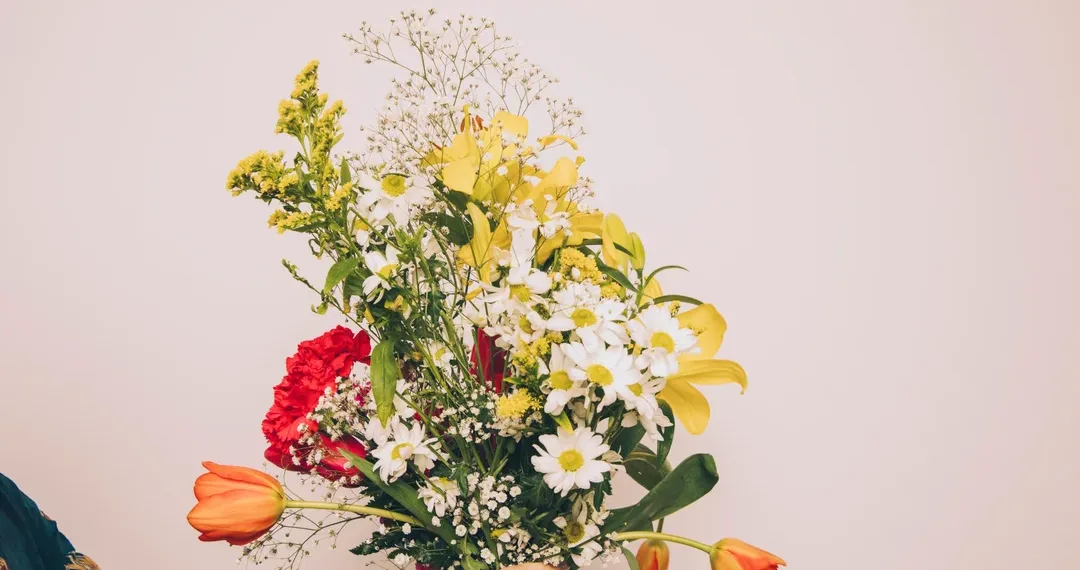 Día de la primavera: qué significado tienen las flores que se regalan