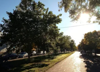 En Trenque Lauquen hay un árbol  cada menos de dos personas