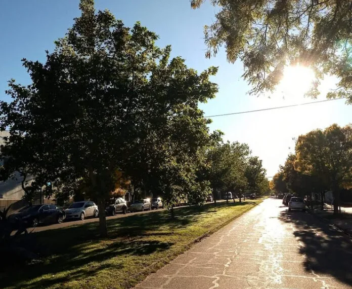 En Trenque Lauquen hay un árbol  cada menos de dos personas