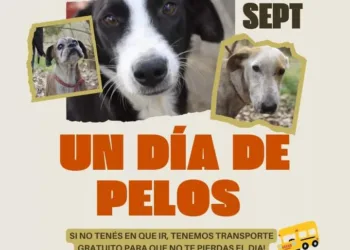 Convocan a toda la comunidad a participar de la jornada “Un Día de Pelos”