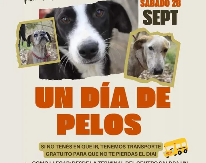 Convocan a toda la comunidad a participar de la jornada “Un Día de Pelos”
