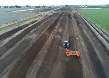 Feedlots y sostenibilidad: buenas prácticas para un manejo responsable