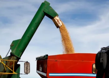 La agroindustria, pide por créditos e infraestructura