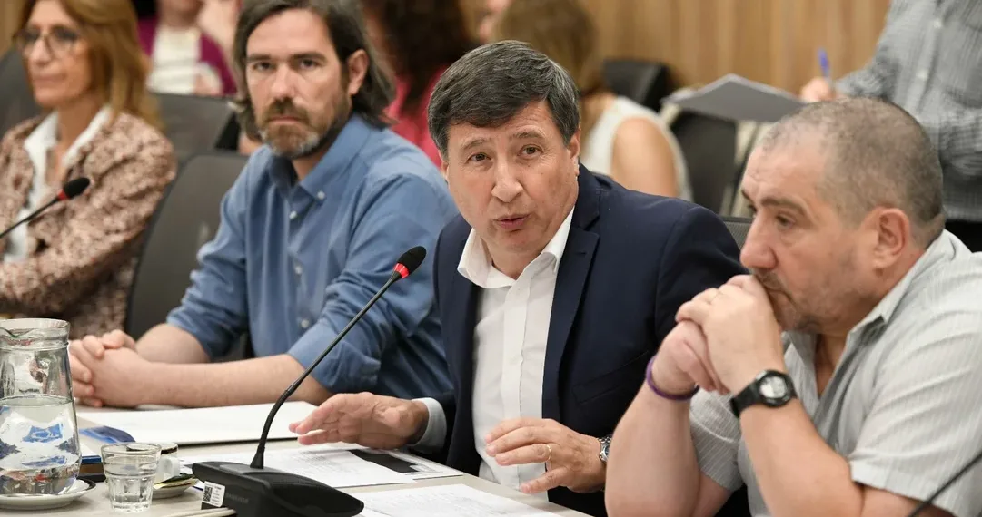 Daniel Arroyo propuso crear una Pensión Universal por Discapacidad