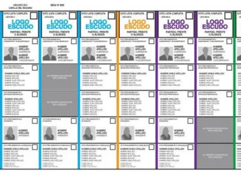 Diputados aprobó la Boleta Única de Papel, que se utilizará desde las elecciones 2025