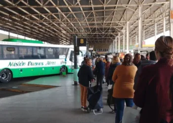 El Gobierno desregula el transporte de micros de media y larga distancia: los cambios