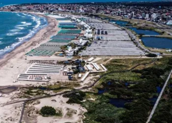 Punta Mogotes: la Justicia admitió la demanda de Mar del Plata contra Provincia