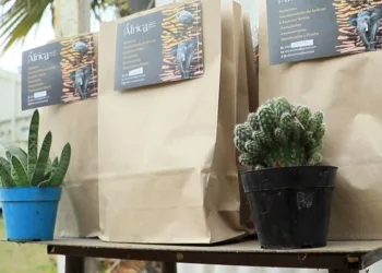 Comenzó una nueva campaña de reciclado electrónico en el Beto Mesa
