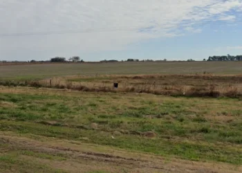 Tres sujetos detenidos por el robo en un campo