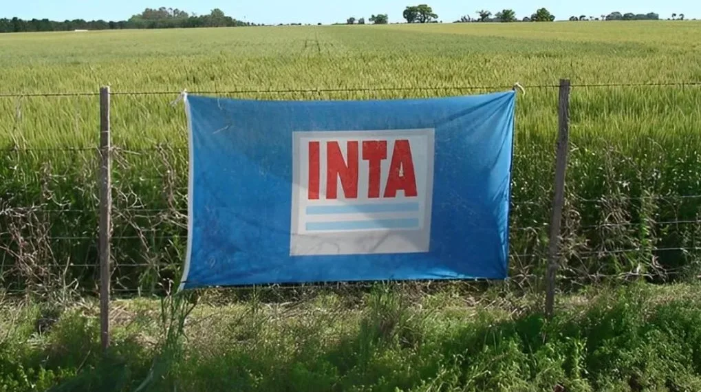 Por el momento no llegaría el ajuste  a la agencia del INTA en Junín