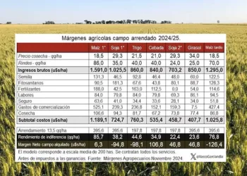 Productor agrícola hizo los números y “no cierran”