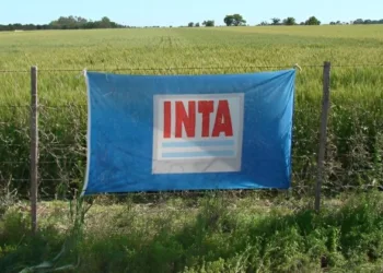 El Gobierno confirmó el ajuste en el INTA,  con más de 200 despidos y venta de propiedades