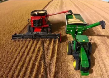 El sector agroindustrial celebró la decisión del Banco Central de seguir aflojando el cepo