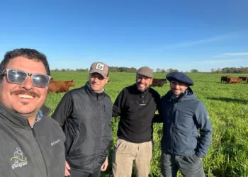 Buscan promover la integración de la ciudad con el campo