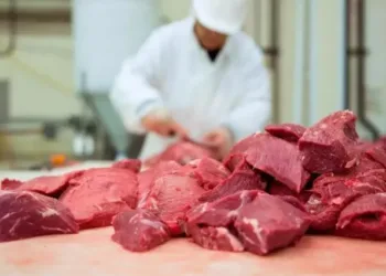 El consumo de carne vacuna está en su nivel más bajo en 28 años y no se ven señales de mejora en el corto plazo