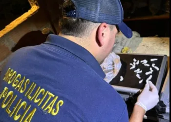 Dos narcokioscos desbaratados en barrio «Los Almendros»