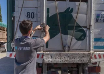 Se abrió el mercado de Omán para la exportación de equinos en pie