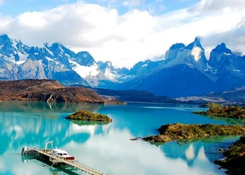 «Patagonia combinada», propuesta de Flamingo