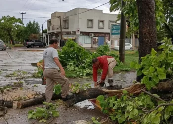 Nueve de Julio: intensas tareas tras la tormenta de esta mañana