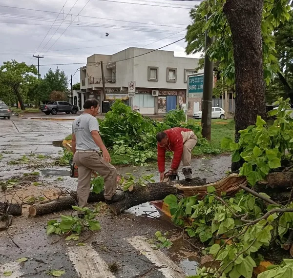 Nueve de Julio: intensas tareas tras la tormenta de esta mañana