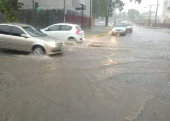 La abudante caída de agua produce anegamientos en Junín: llovieron 35.5 mm