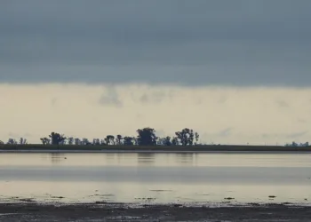 Novarese: “Sin agua en la laguna, la temporada está difícil”