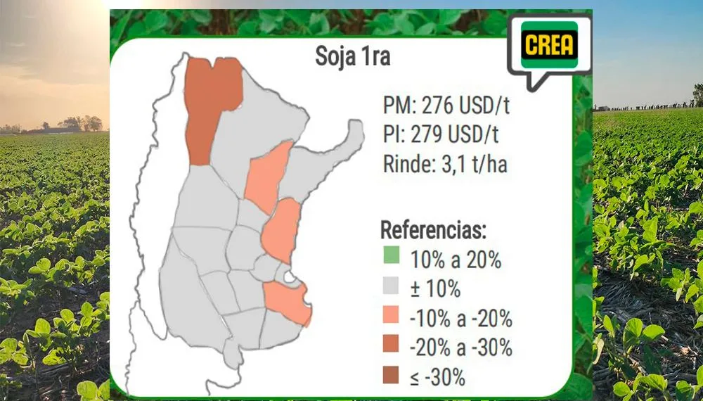 La soja dejó de ser buen negocio para los productores