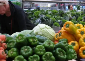 Del campo a la góndola los precios se multiplicaron 3,6 veces en noviembre