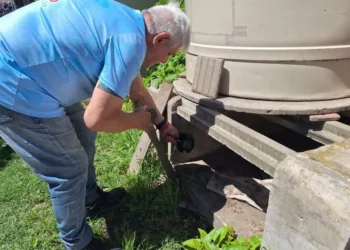 Relevan ovitrampas para  monitorear al Aedes Aegypti