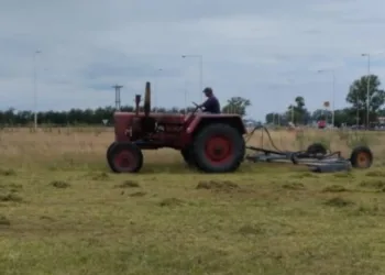 Ante falta de respuestas, el Municipio  cortó el pasto en rotondas sobre Ruta 7