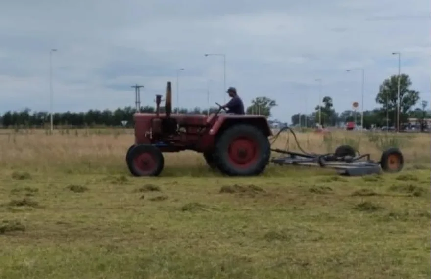Ante falta de respuestas, el Municipio  cortó el pasto en rotondas sobre Ruta 7