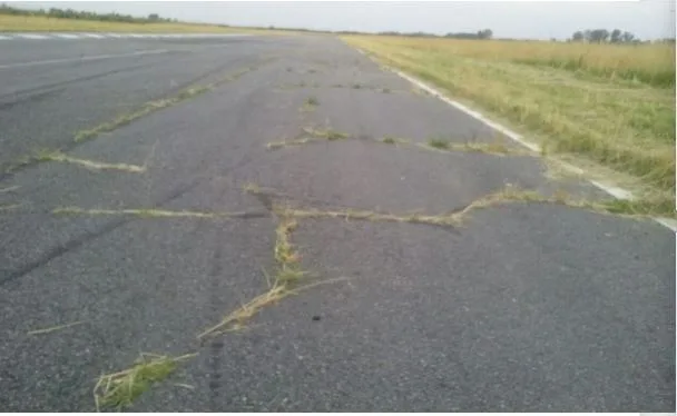 Autódromo: contactos con inversores privados