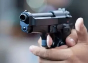 Legítimos usuarios de armas: en qué cambia la ley