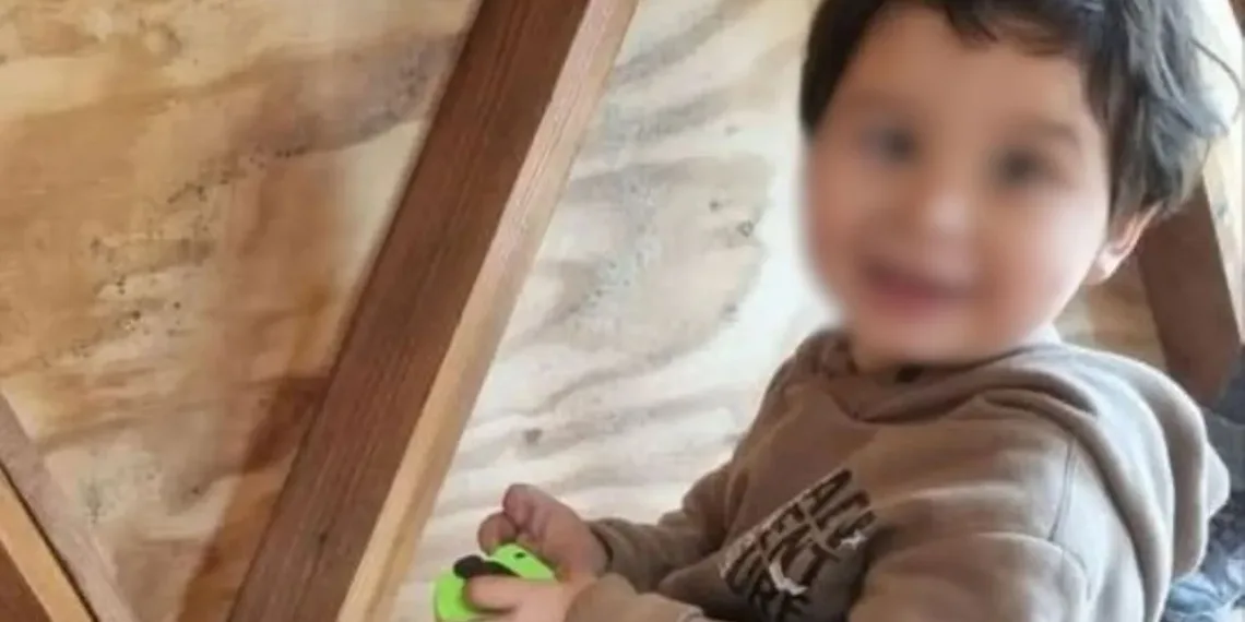 Apareció sano y salvo el niño desaparecido en Bariloche