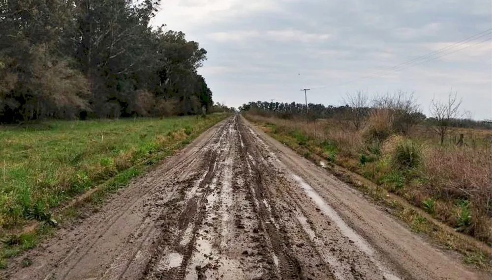 Cittadini: “Los intendentes deben tomar conciencia de la importancia del camino rural”