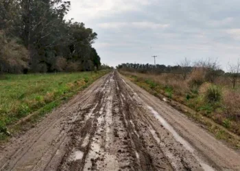 Cittadini: “Los intendentes deben tomar conciencia de la importancia del camino rural”