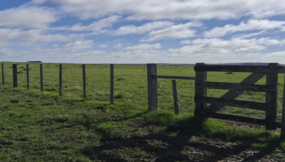 Qué pasó en este 2024 con el sector inmobiliario rural