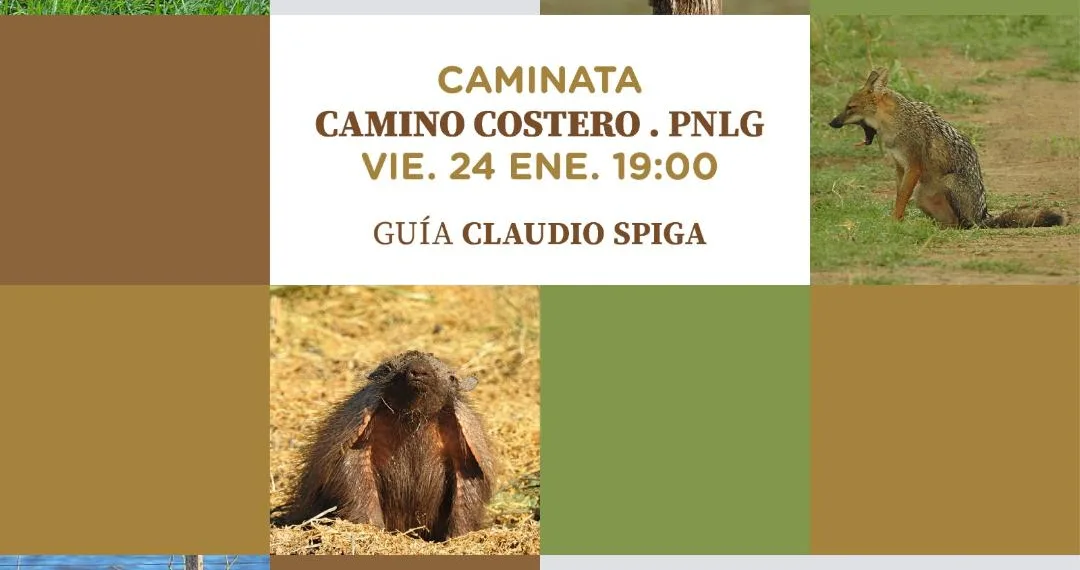 Se realizará un recorrido guiado por el Camino Costero para avistar fauna autóctona