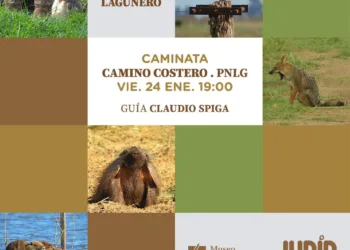 Se realizará un recorrido guiado por el Camino Costero para avistar fauna autóctona