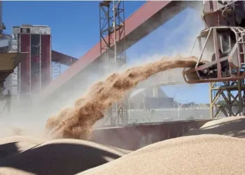 Bahillo advirtió que la baja a las retenciones «solo busca recaudar dólares ahora»